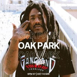 Oak Park Type Beat Cover